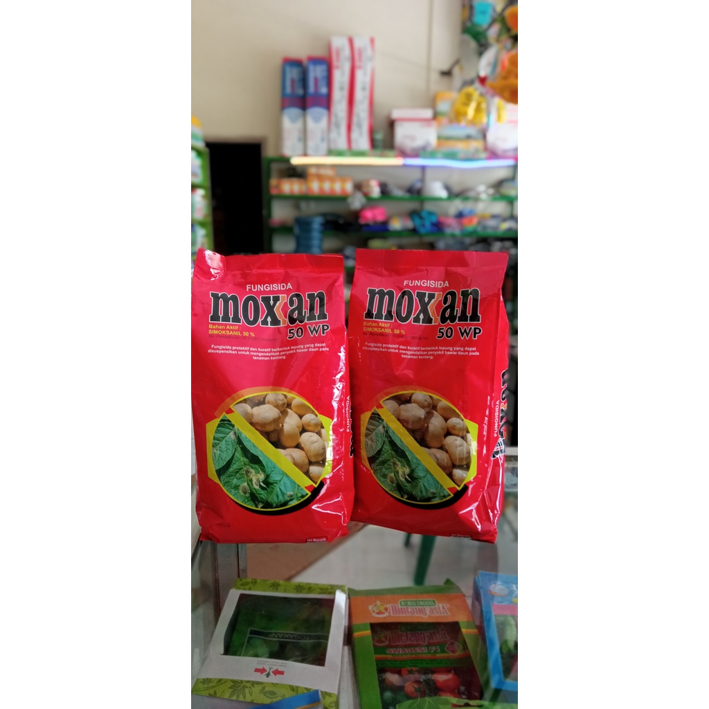 Fungisida MOXXAN 50WP 500gram, Moxan simoksanil