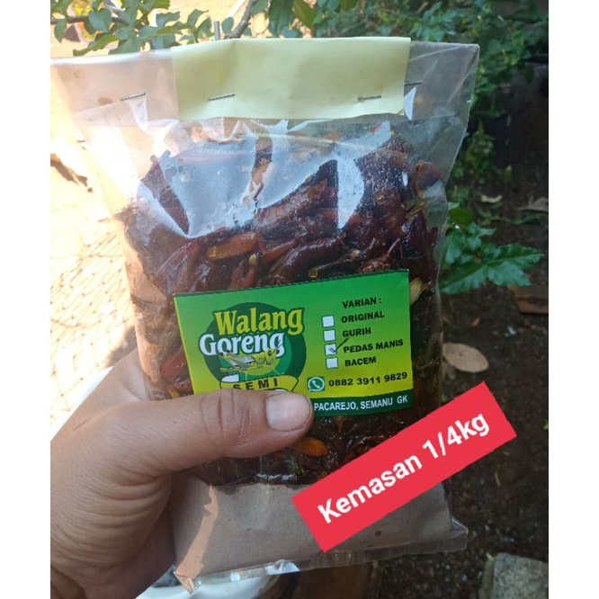 

Belalang goreng/simet /walang kayu super murah isi lebih banyak kemasan 250 gram/1/4 kg di timbang setelah matang makanan extrim khas gunung kidul pesan baru goreng no setok po 2-3 hari goreng pesan baru keriyuk cemilan pedas gurih, pedas manis,gurih enak