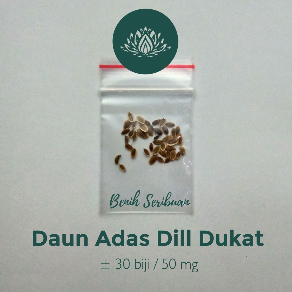 Benih Seribuan - 30 Bibit Daun Adas Sowa Sayuran Herb Dill Dukat Unggul