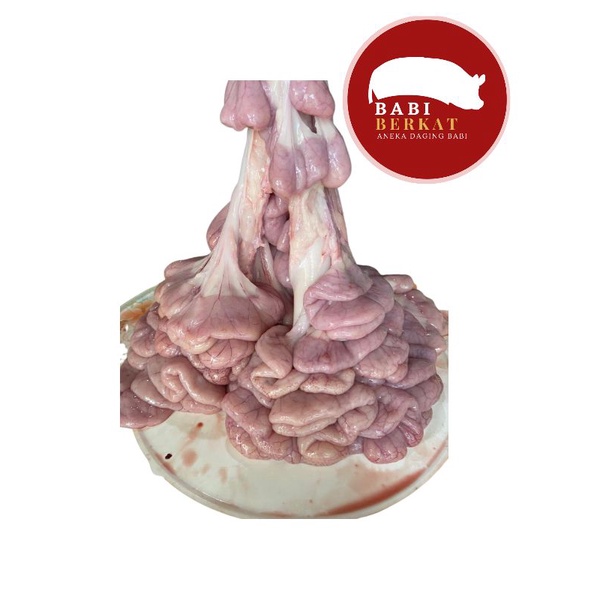 

Babi Berkat - Usus Kecil Daging Jeroan Babi Segar fresh kualitas terjamin 100% surabaya harga per 1kg