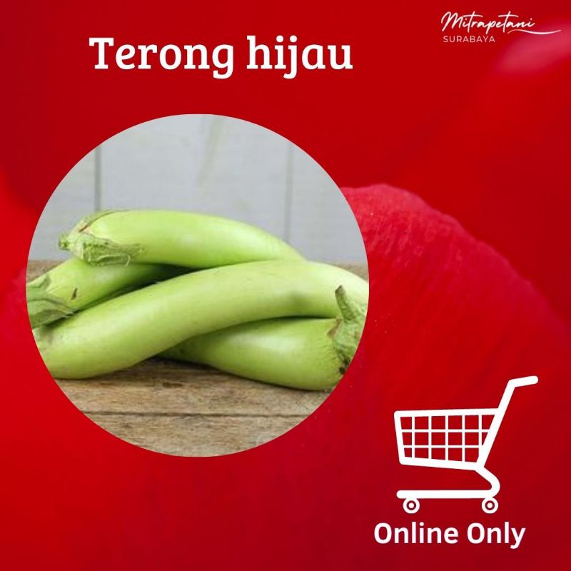 

terong hijau,terong sayur, sayur terong hijau segar
