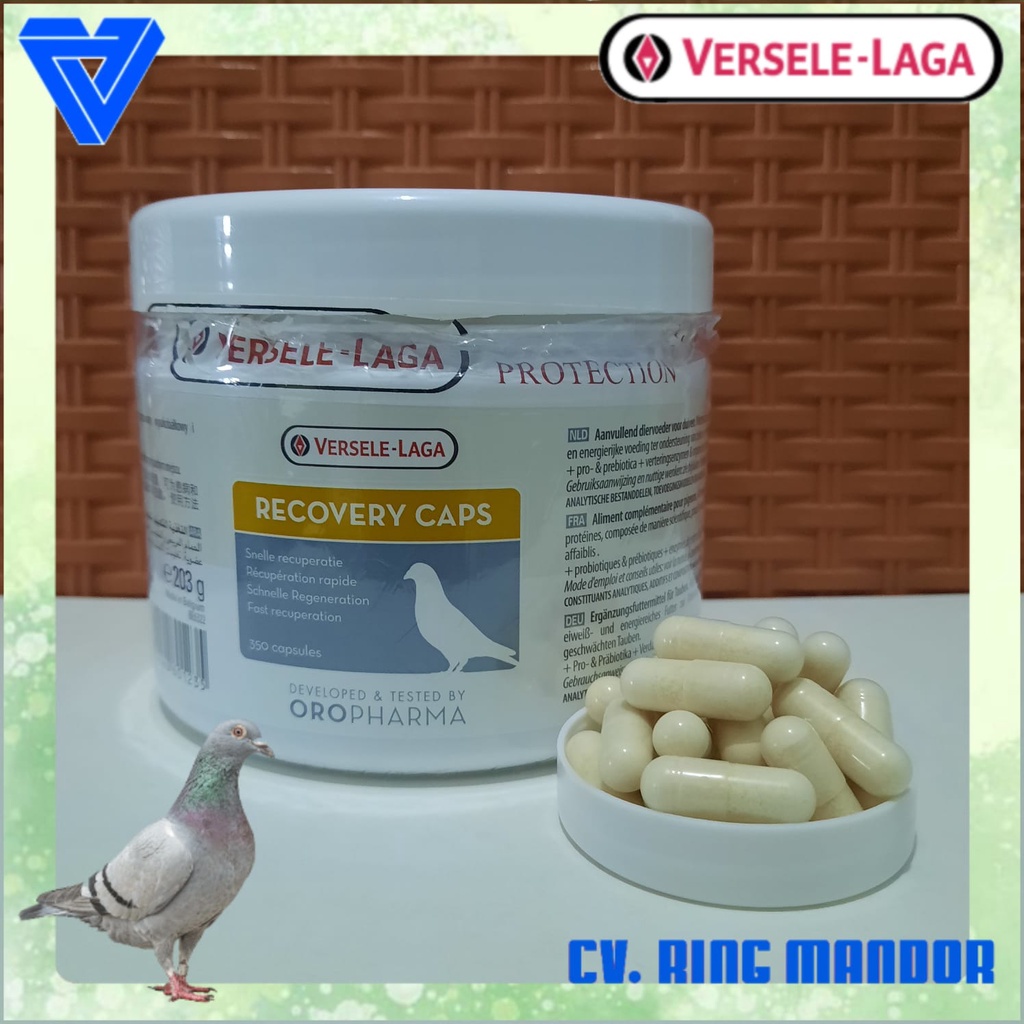 RECOVERY CAPS VERSELE-LAGA ISI 350 KAPSUL