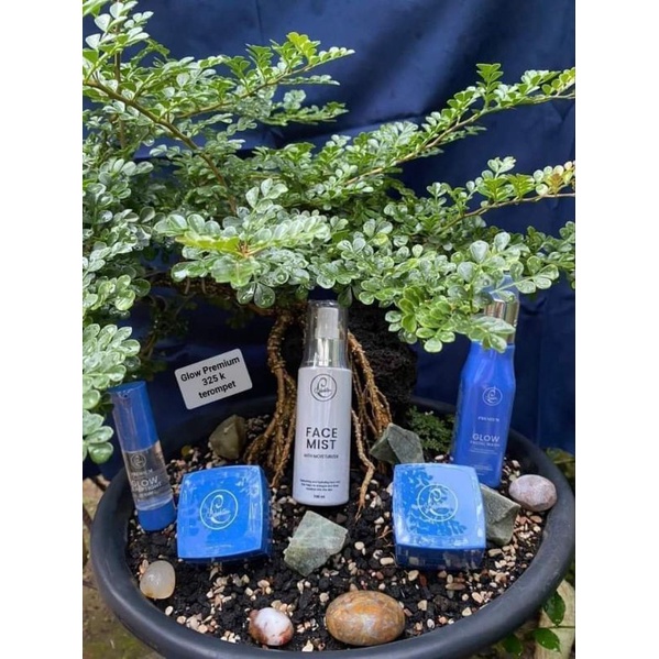 BBC paket glow premium