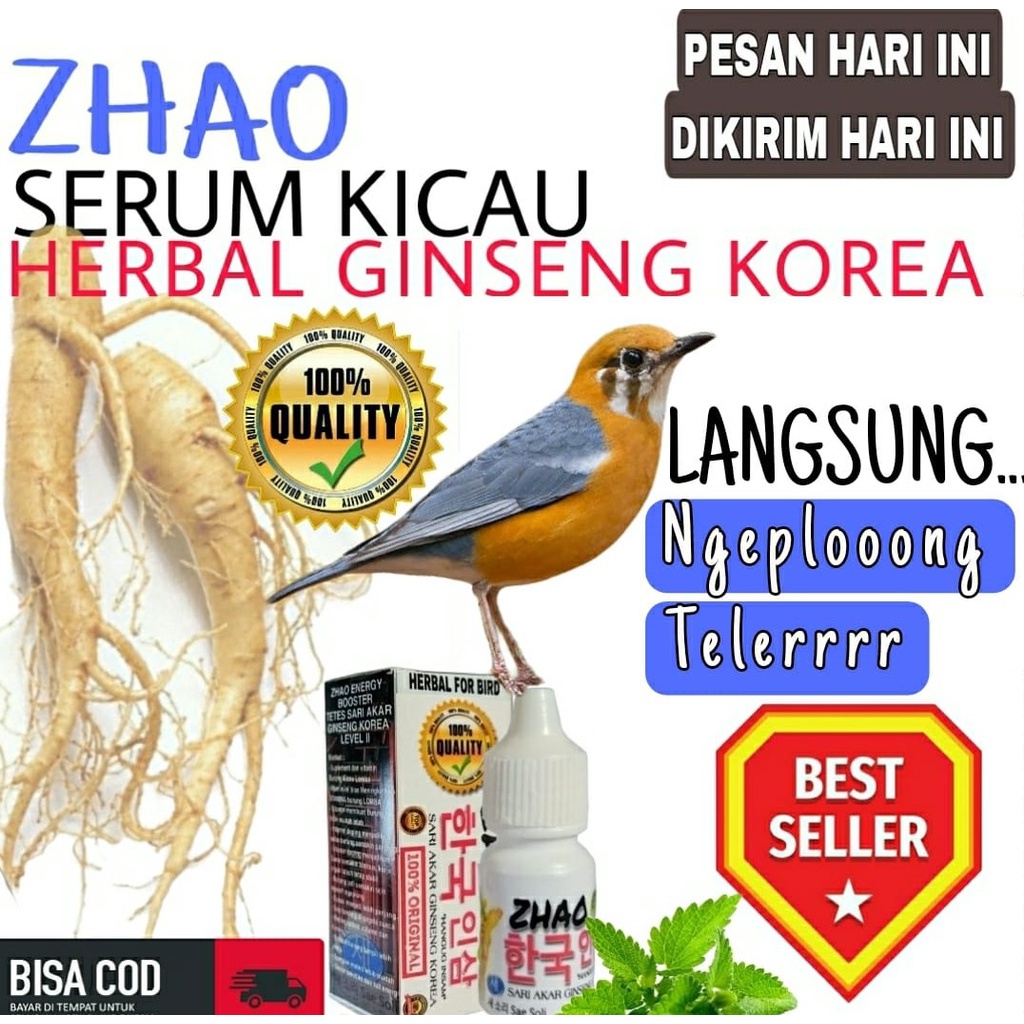 Vitamin Burung Anis Merah Ngeplong Penggacor Seketika hebatnya zhao ginseng korea  Cukup 3 Tetes Lan