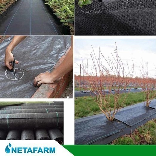 Weedmat Terpal Geotextile Mulsa Gulma Hitam 100 GSM 4mx100m - Roll