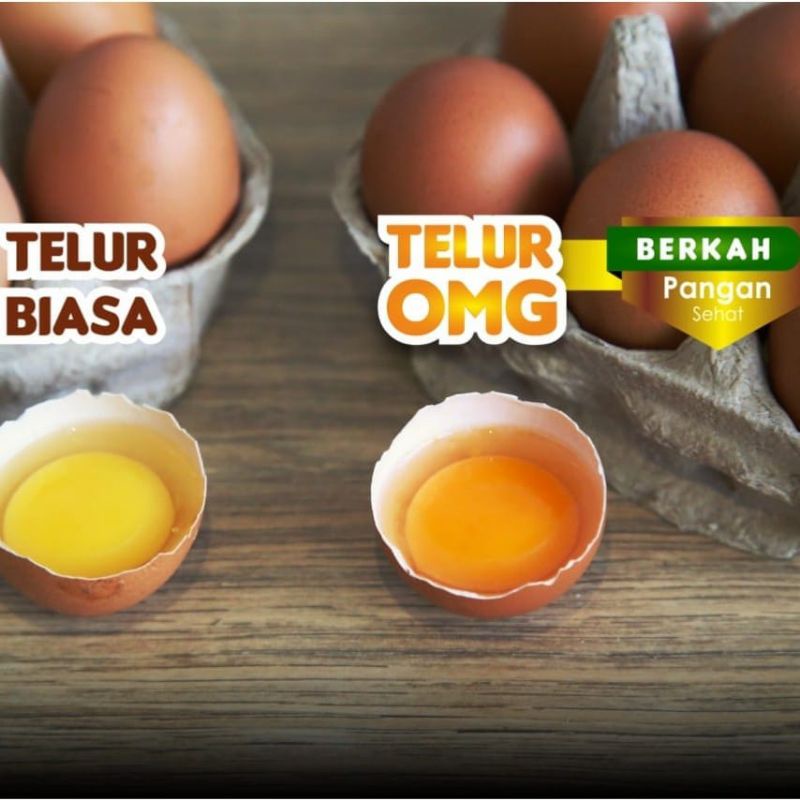 BERKAH Telur Ayam Omega 10 Butir