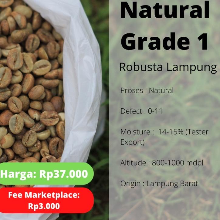 

Promo | KI3 | Green Bean Robusta Lampung Petik Merah Grade 1 - Natural Process