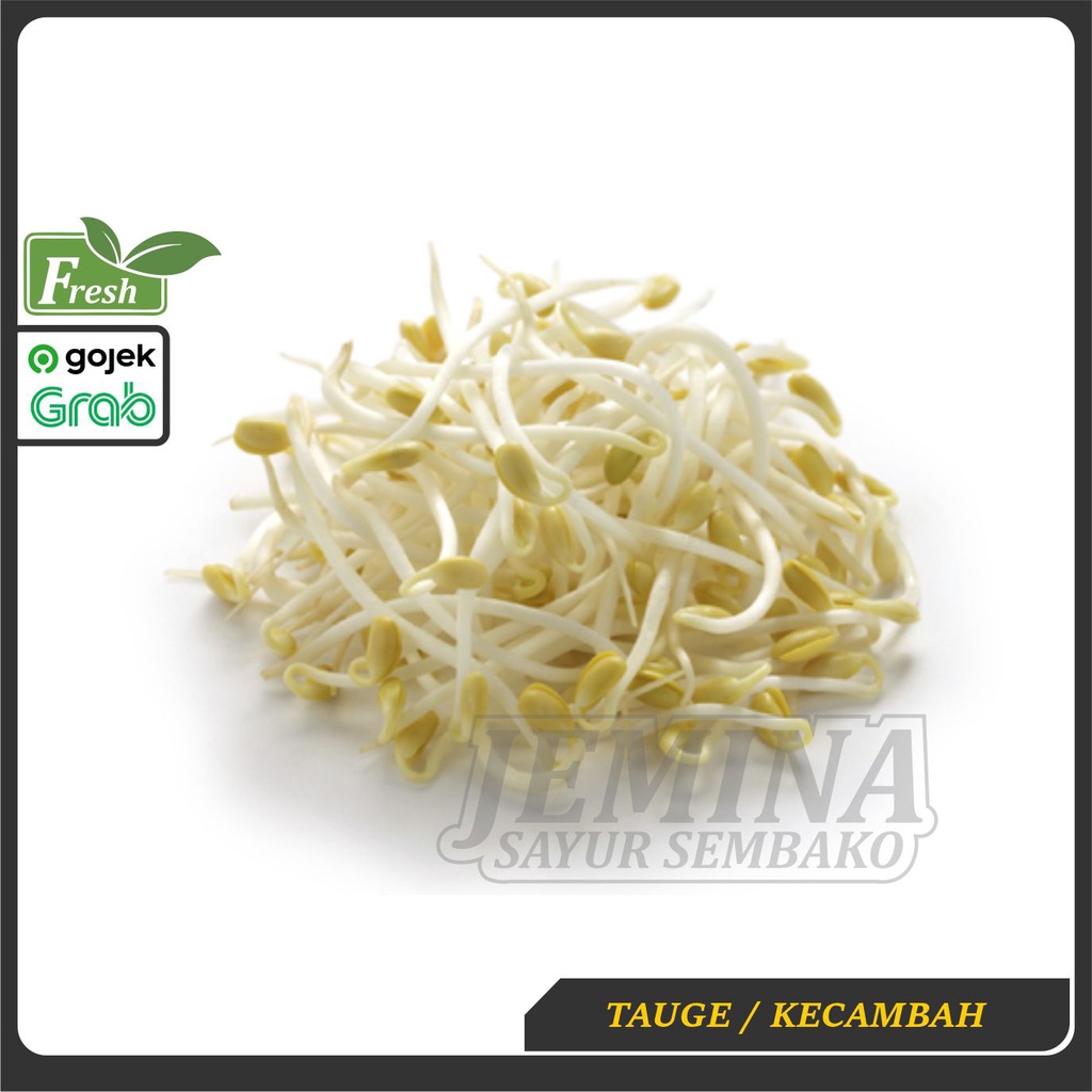 

Tauge Kecambah Pendek 200g ( Soto Rawon ) - Sayur Jogja