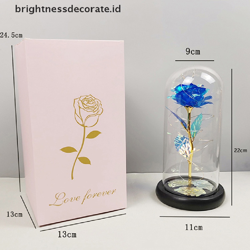 [Birth] Beauty and the Beast Bunga Mawar Penutup Kaca Lampu LED Valene's Day Gift [ID]