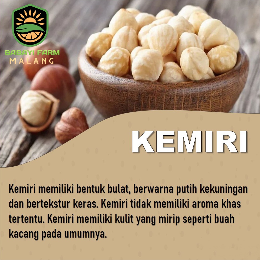 

Kemiri 250 Gr