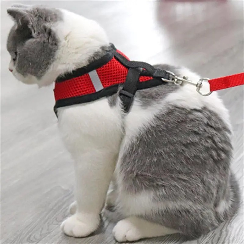 Rompi kucing rompi harness + tali tuntun Harness ROMPI Rompi Harness Modis Mesh Lembut dengan Tali Pengikat Reflektif Harness aksesoris hewan peliharaan