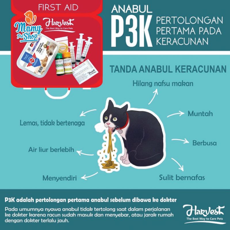 ANABUL P3K OBAT KERACUNAN PERTOLONGAN PERTAMA KUCING ANJING KERACUNAN