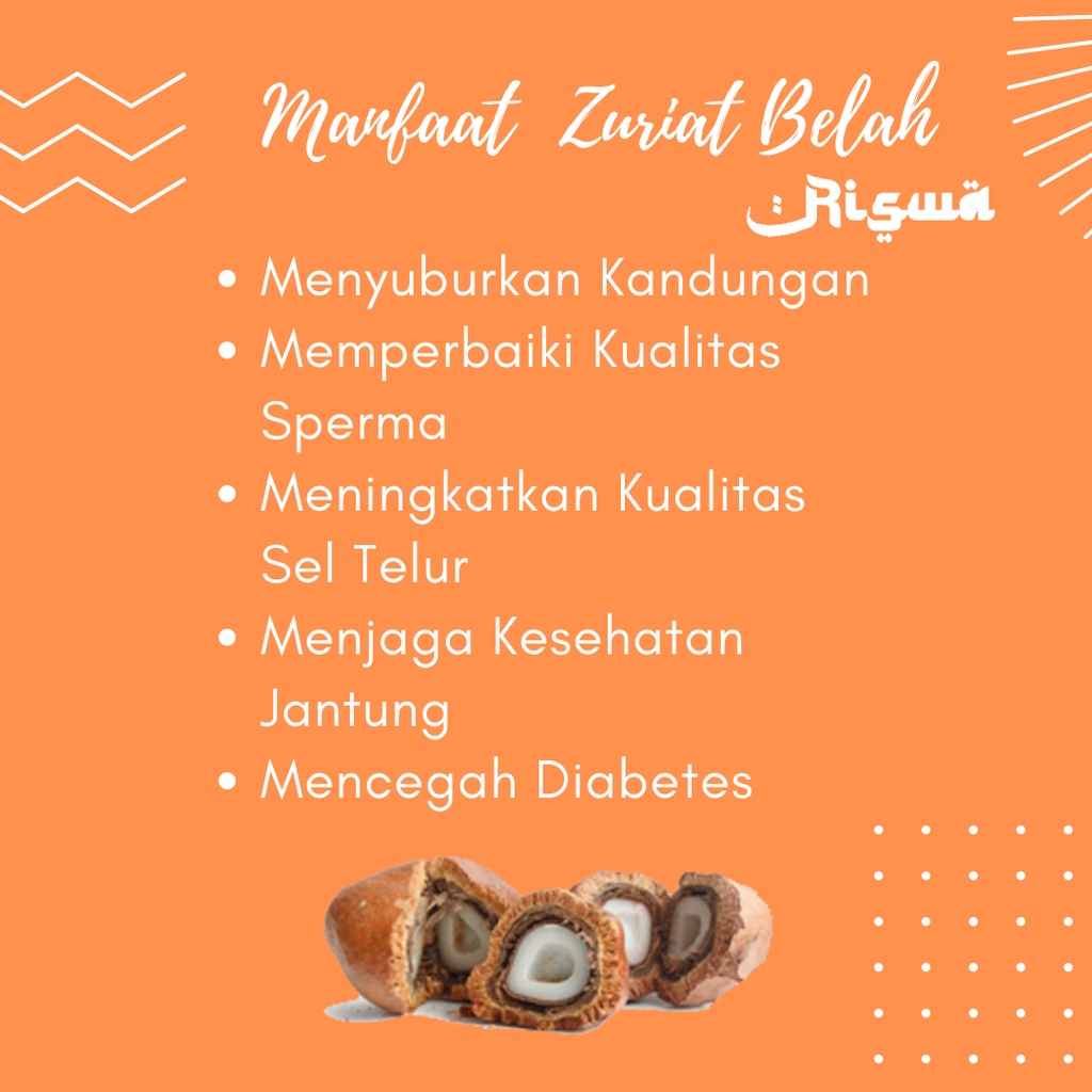 Buah Zuriat Belah Promil Asli 1KG ORIGINAL Mesir Belahan Dzuriat Juriat Zuriyat Mahasin Doum ORI Kupas