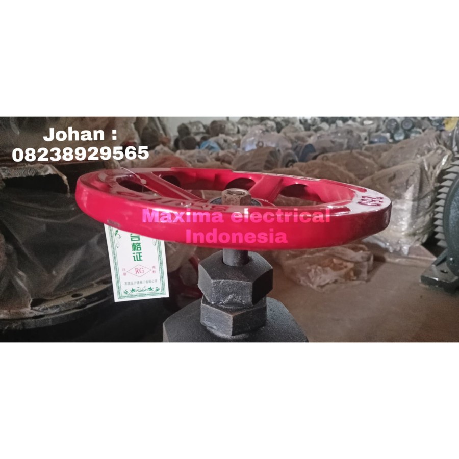Gate valve DN300 12 Inch