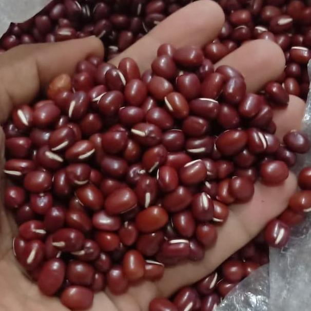 

Terbaru[TD4]-500gr Kacang Merah Kecil - Small Red Beans - Adzuki Bean - MPASI