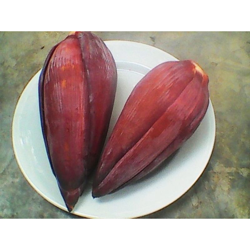 

jantung pisang konsumsi.