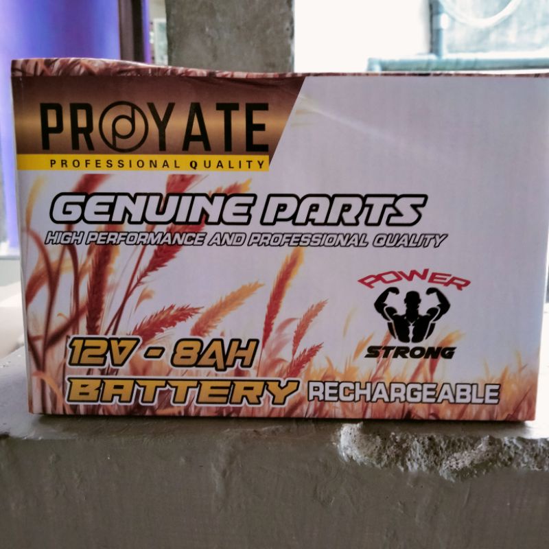 Aki Sprayer Elektrik / Baterai Sprayer Elektrik 12VA-8AH