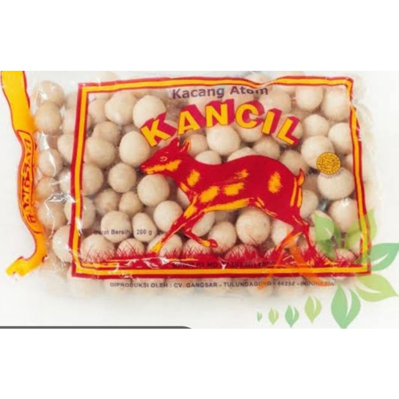 

KACANG KANCIL PUTIH