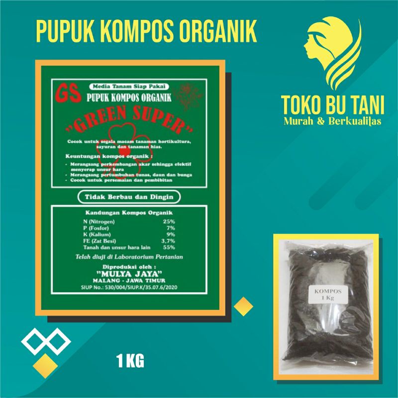 Paket 6 benih Buah Siap Semai Terjangkau