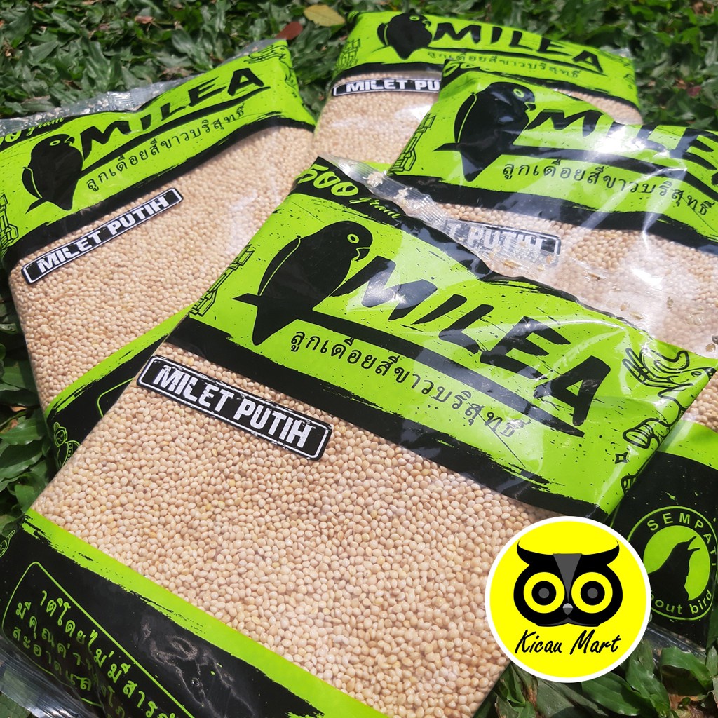 MILEA WHITE MILLET IMPORT USA BIJI MILET PUTIH 500 GRAM RACIKAN THAILAND PAKAN BURUNG LOVEBIRD MLEAS