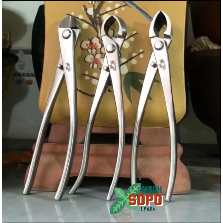 Alat Bonsai, Satu Set Catok Bonsai Maxwan Stenlis, SET 3D