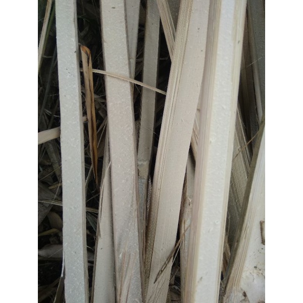 Bilah bambu ajir 150cm