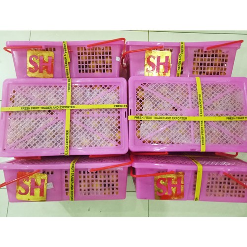 

SPESIAL GIFT IMLEK - BUAH KELENGKENG ISI 3 KG