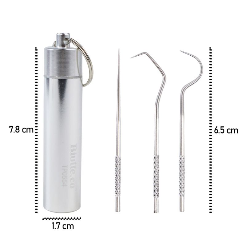 TERMURAH Biutte.co Tusuk Gigi Stainless Steel Toothpick Set Metal Flossing Tool