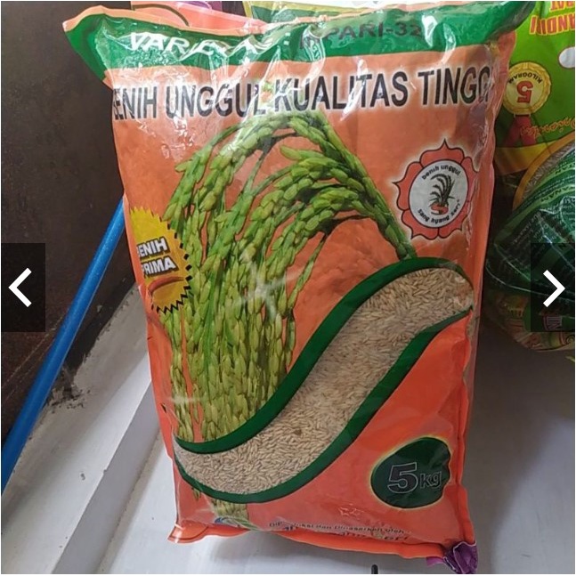 Benih Bersertifikat Padi Unggul Varietas INPARI 32 Repack 1 kg