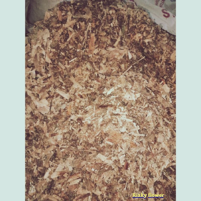 Humus Daun Bambu 1kg