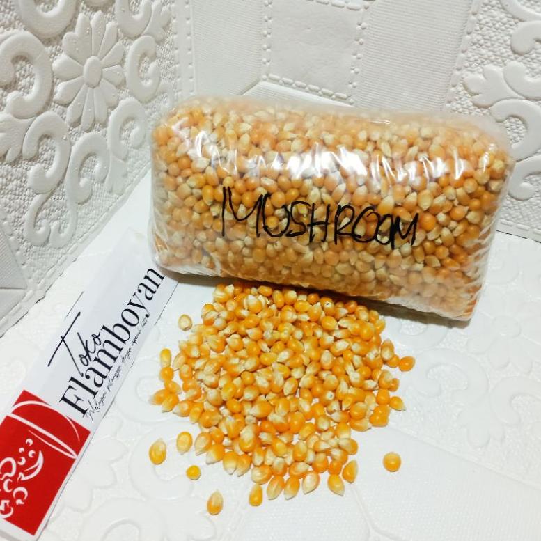 

[PRODUK-W7EBD39] JAGUNG POPCORN MUSHROOM JUMBO 1KG lmvn7