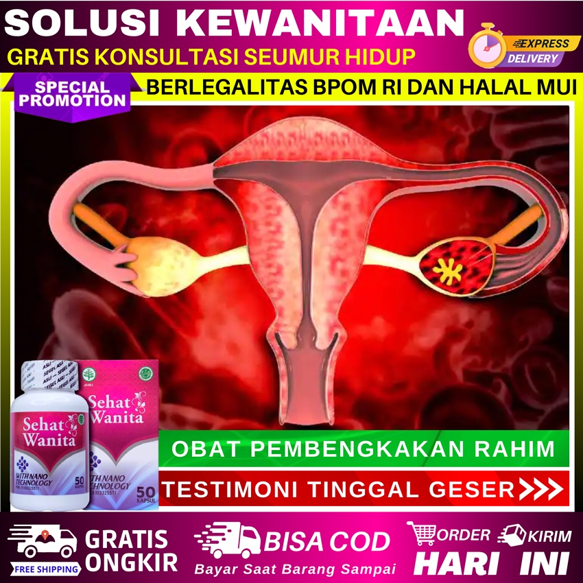 Obat Rahim Bengkak, Obat Benjolan di Mulut Rahim, Obat Rahim Membesar, Obat Fibroid Rahim, Obat Kank