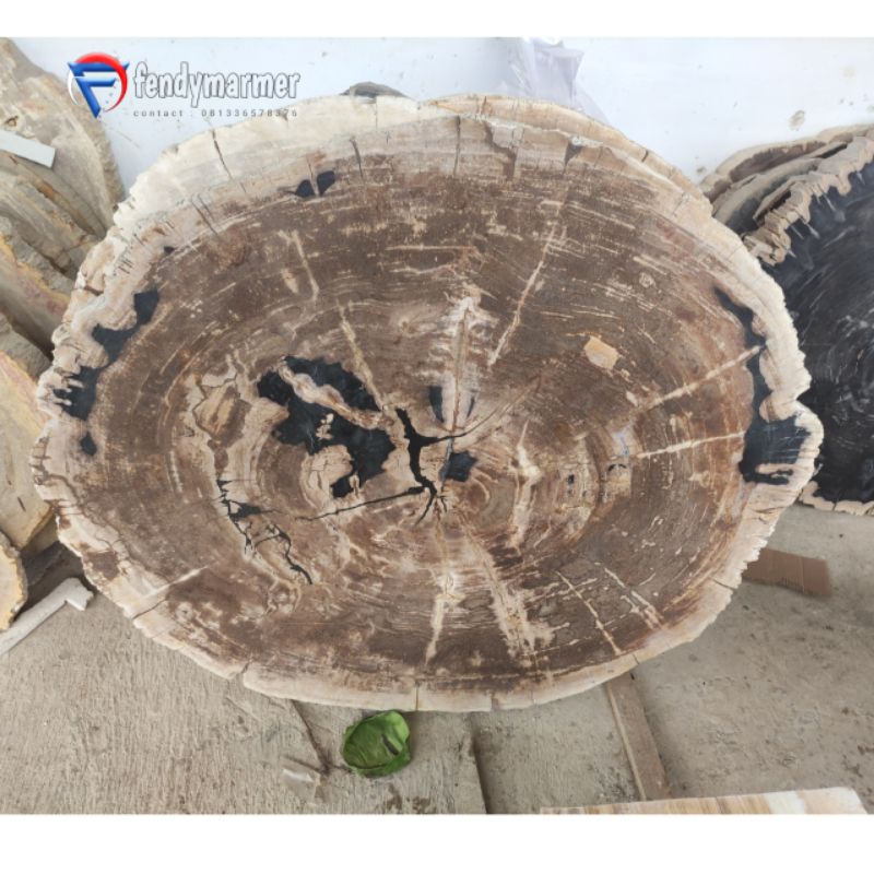 Daun meja batu asli fosil kayu coklat petrified wood natura