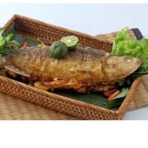 

Termurah | HJ6 | OTAK OTAK BANDENG TANPA DURI MAREM KHAS JAWA TIMUR MAKANAN LAUK SIAP SAJI