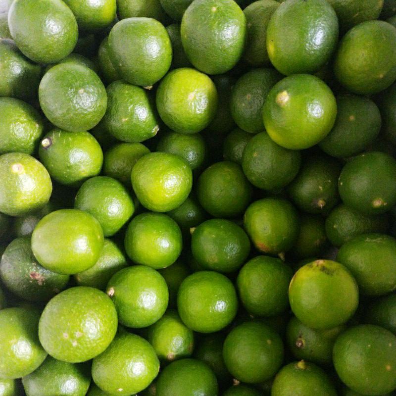 

JERUK NIPIS 1KG JERUK NIPIS SEGAR