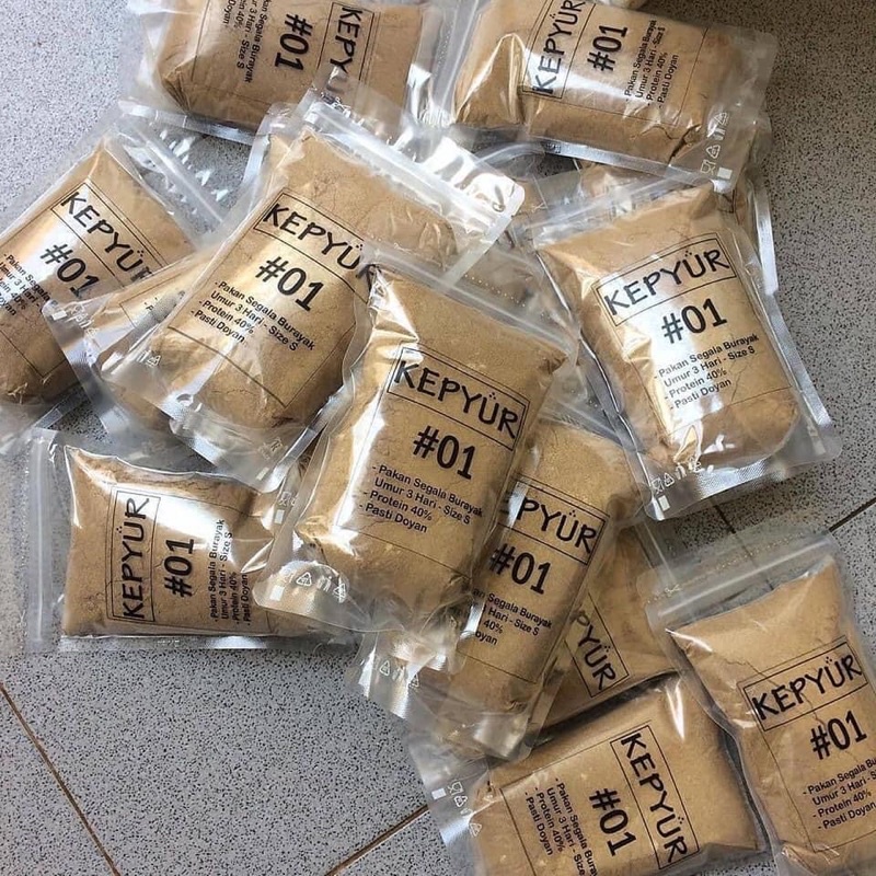 pakan burayak ikan cupang umur 4 hari Kepyur 01