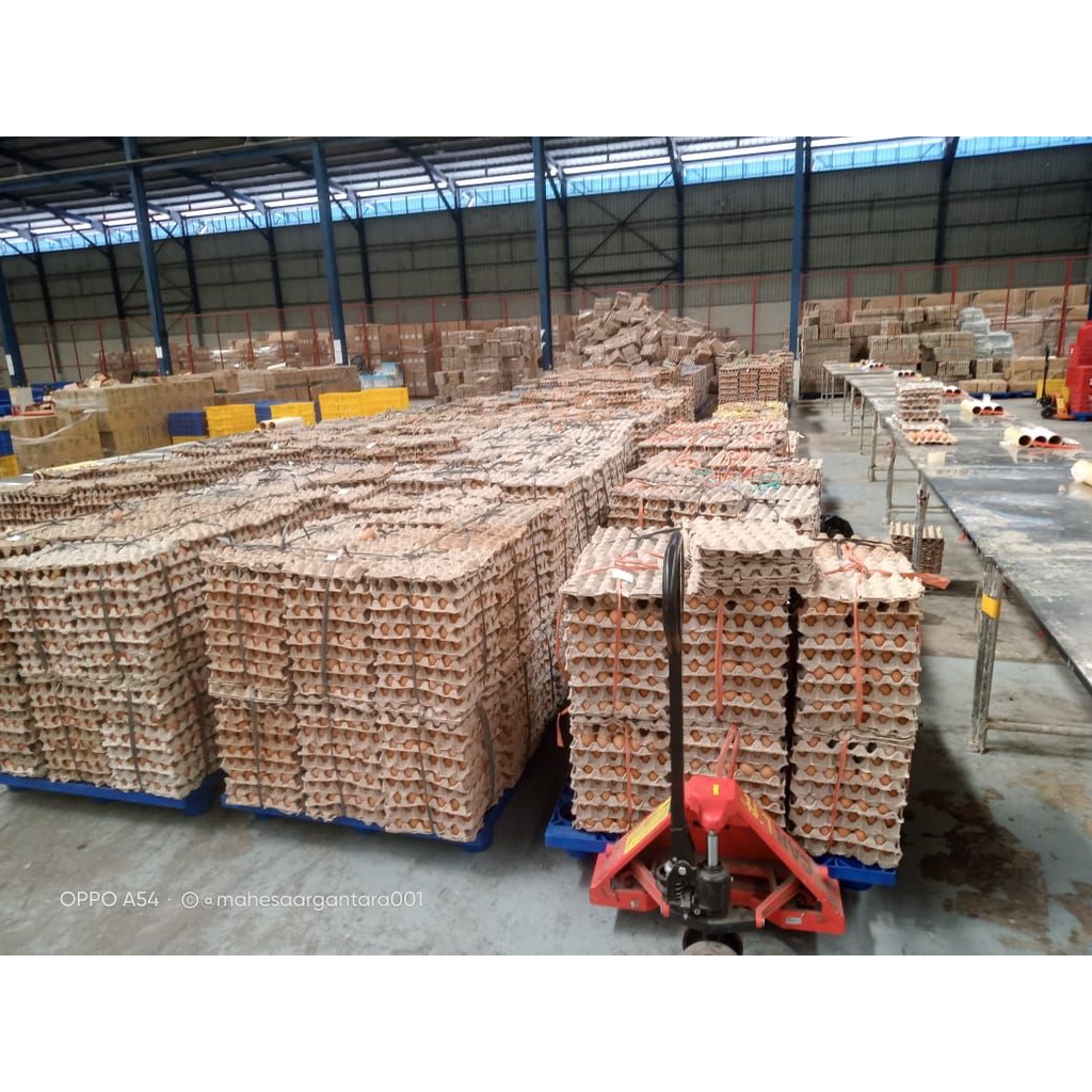 

RB TELUR AYAM NEGERI OMEGA ORGANIK 15 BUTIR HENMART