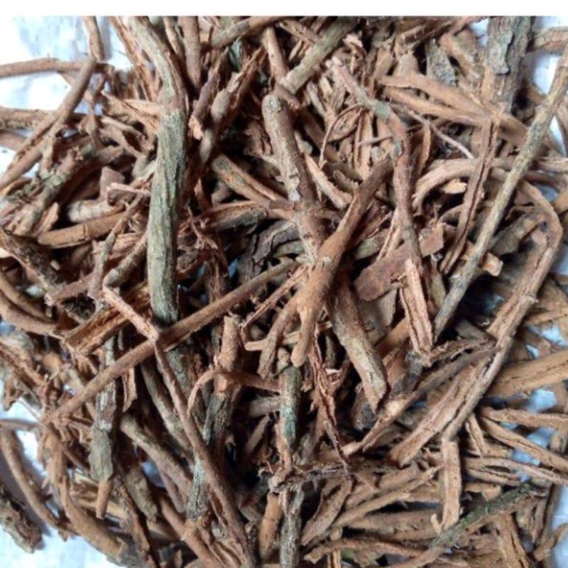 

Kayu Rapet Kering 500 Gram Ragen