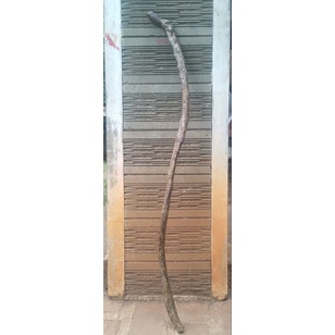 tongkat kayu sariro jagad/alam/asesoris