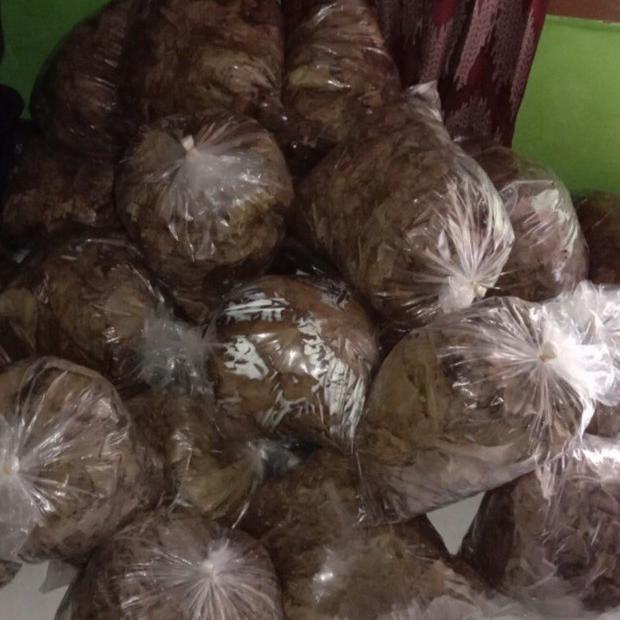 Tren Minggu Ini [Gratis Emas] DAUN KETAPANG 1 KG BELUM DIOLAH