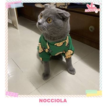 Baju Buah Sayur Kucing Anjing Pet Clothes Cat Dog Cute