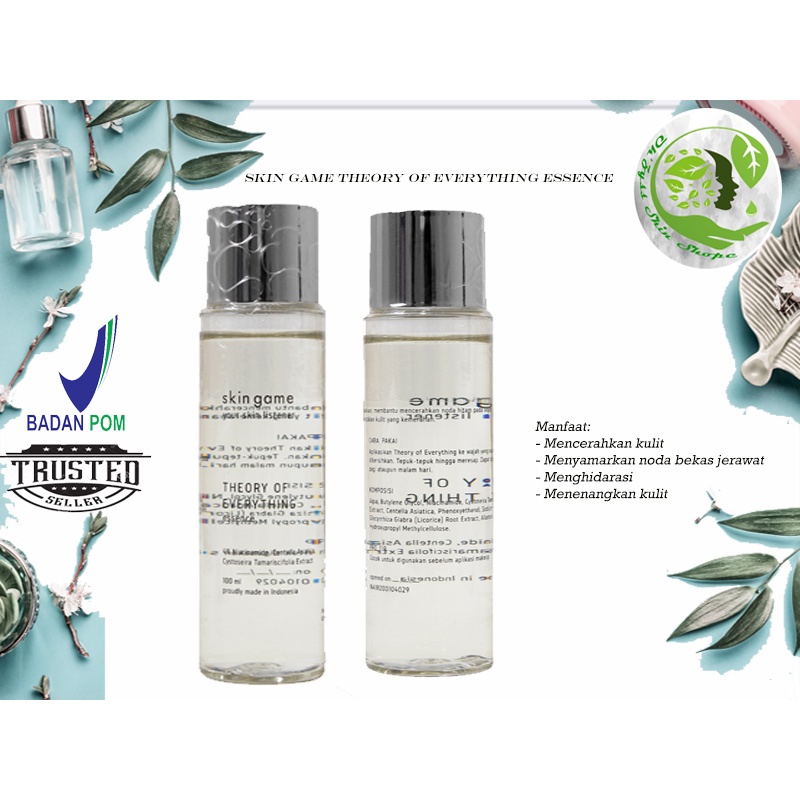 Skin Game Theory of Everything Essence