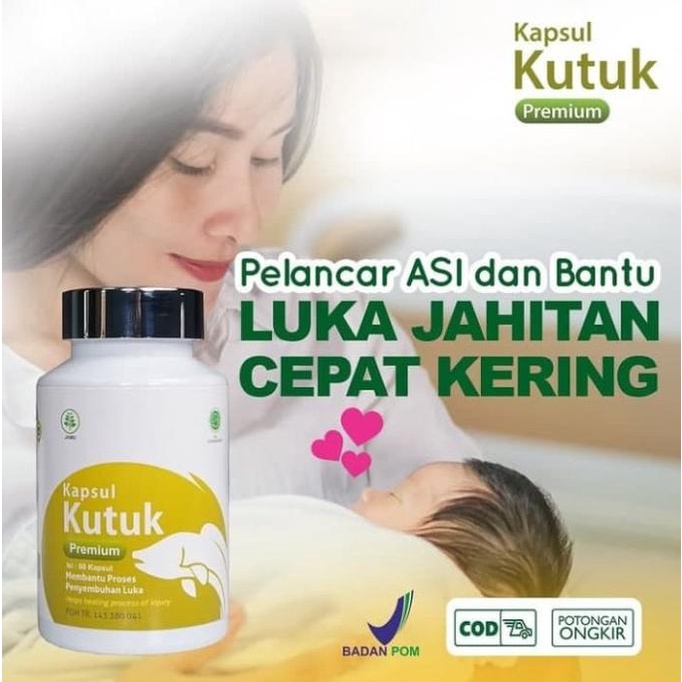 KAPSUL EKSTRAK IKAN GABUS KUTUK ALBUMIN ALBUPLUS OBAT HERBAL KANKER