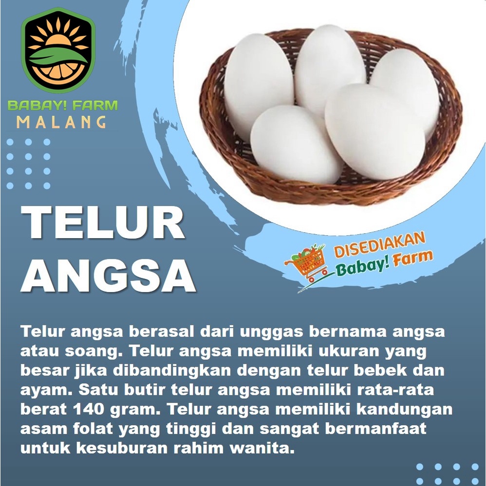 

Telur Angsa Konsumsi Promil / imunitas segar per butir pack