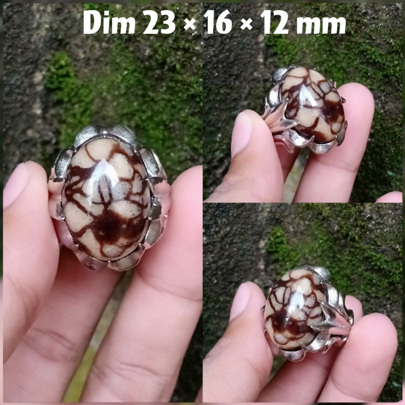 cincin akik batu coral Marjan putih asli / coral Marjan asli / batu coral Marjan putih serat asli