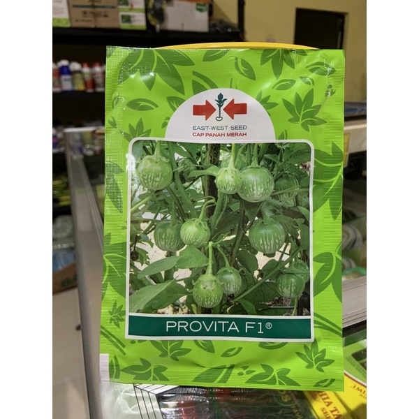 Benih Terong Provita F1 (terong lalap/bundar) 1.100 butir