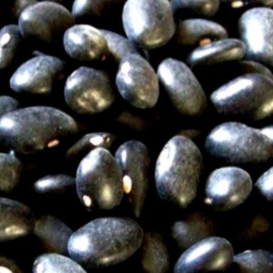 

kedelai hitam 500 gr