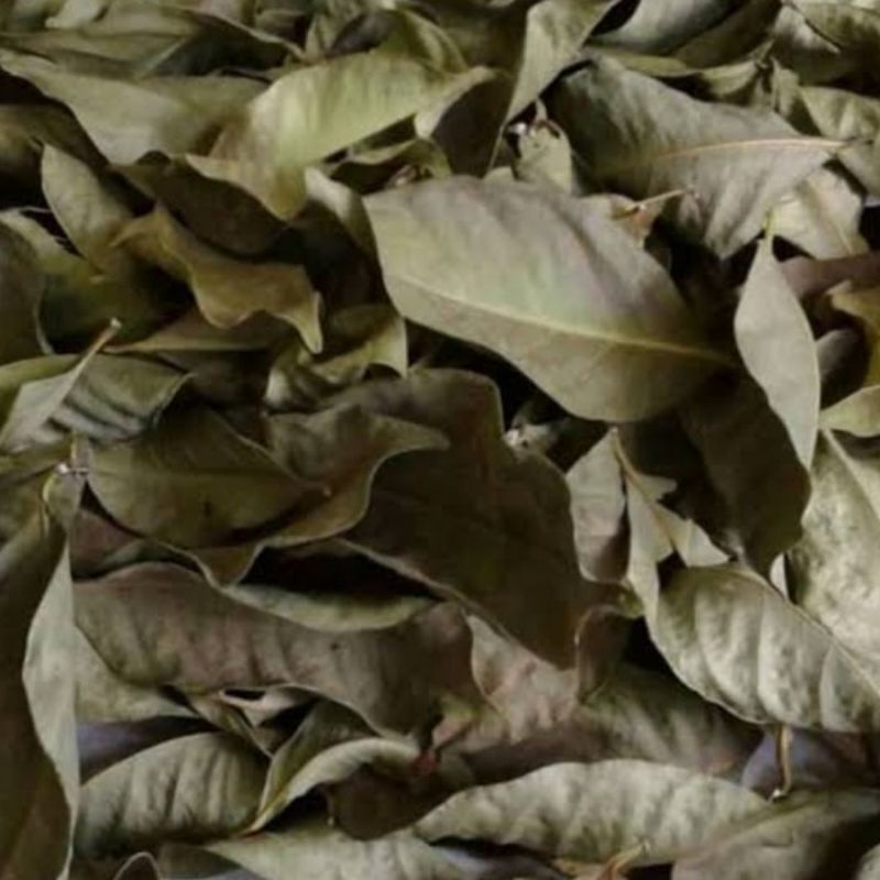 

Daun Salam Kering 50 Gram Bay Leaf