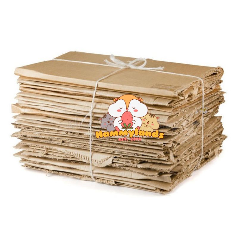 

Packing Kardus Tambahan