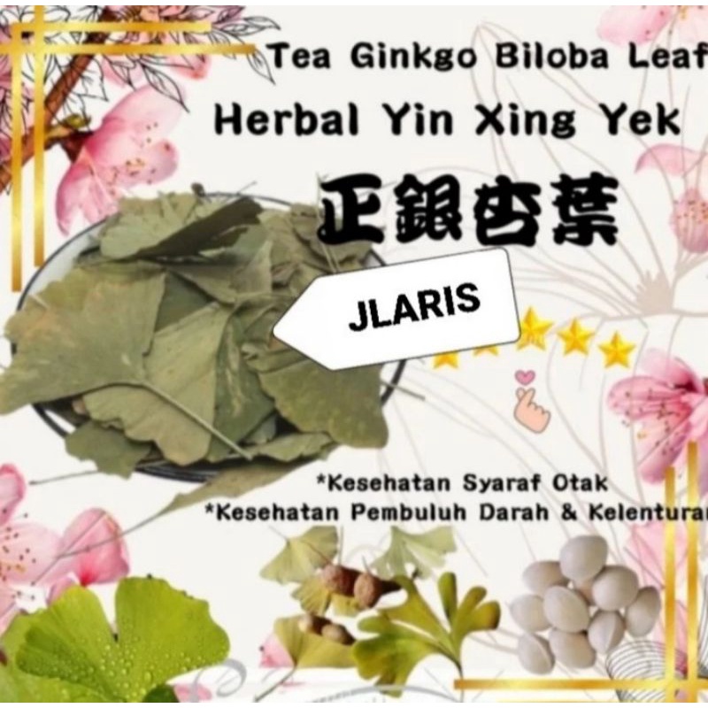 250 gram Obat Herbal Ginkgo Leaf Super Ginkgo Biloba Ginko